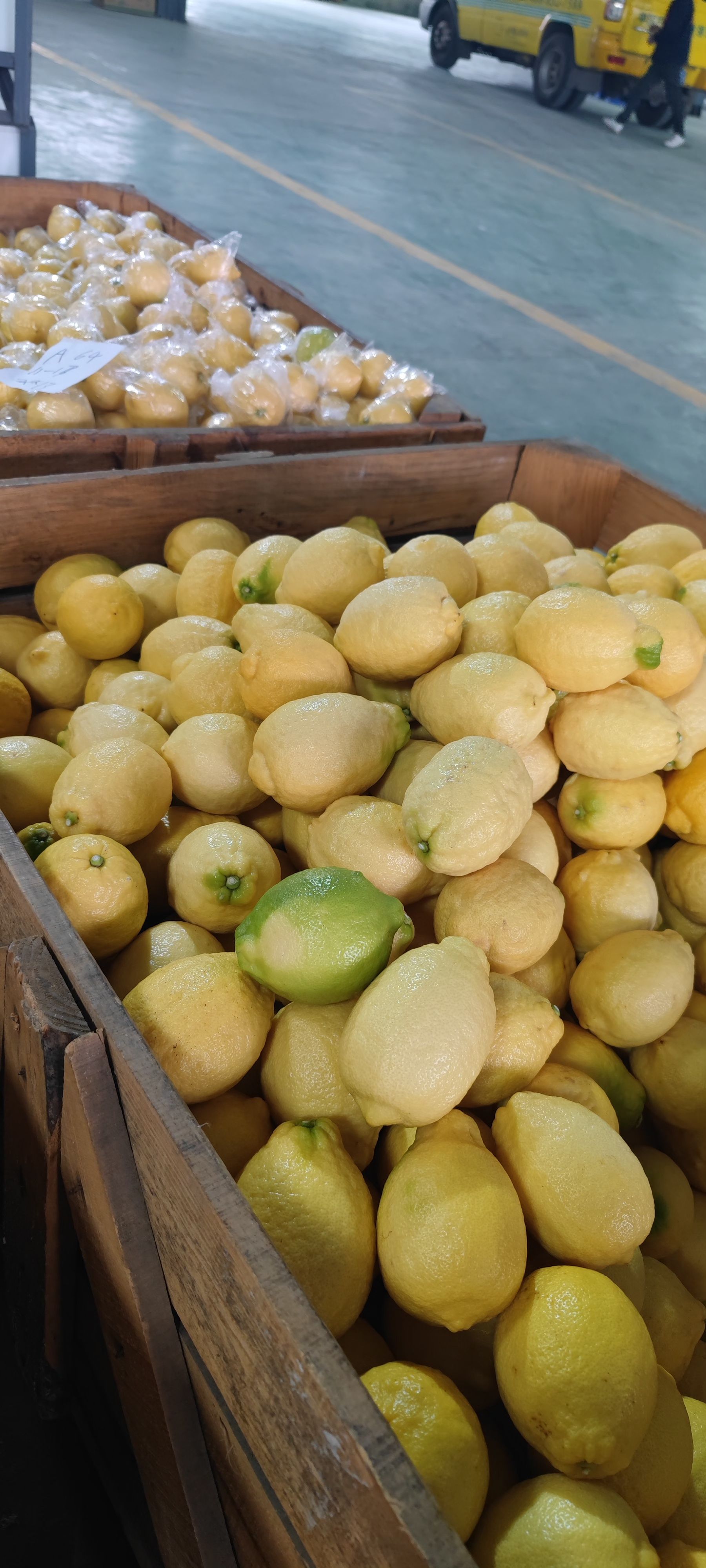 fresh lemon fruits